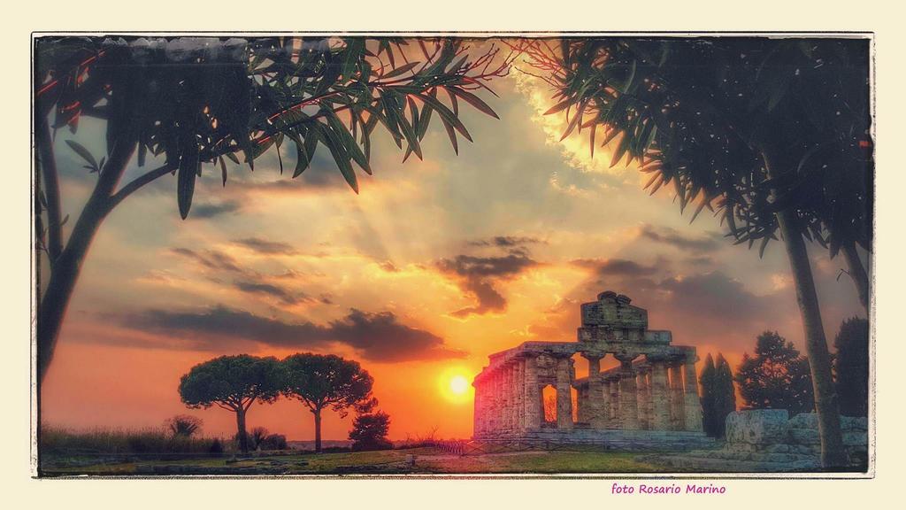 La Rosa Di Paestum Villa Capaccio Eksteriør bilde