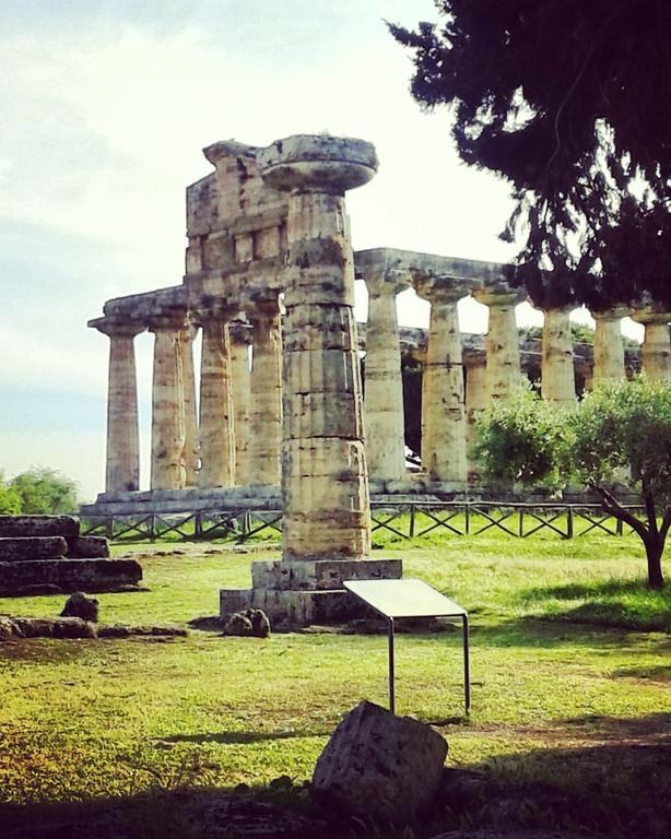 La Rosa Di Paestum Villa Capaccio Eksteriør bilde