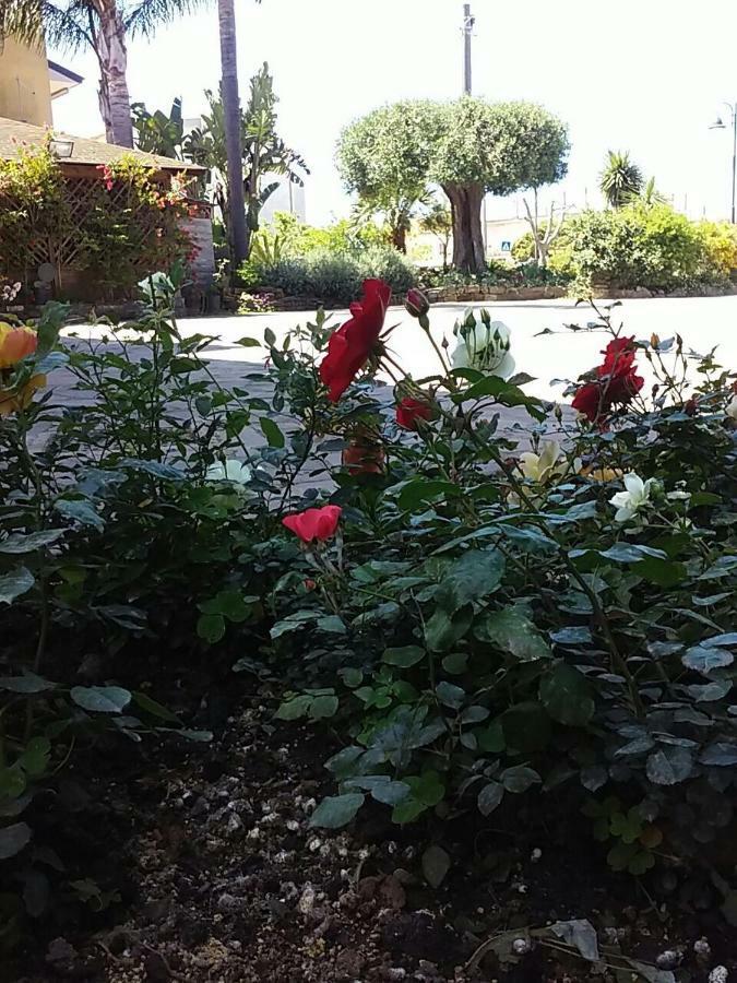 La Rosa Di Paestum Villa Capaccio Eksteriør bilde